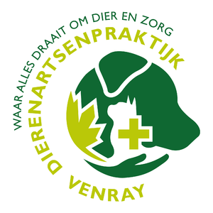 Sandra Scherpenhuijsen